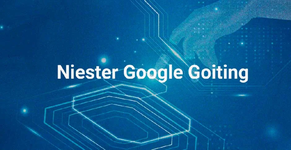 Niester Google Goiting