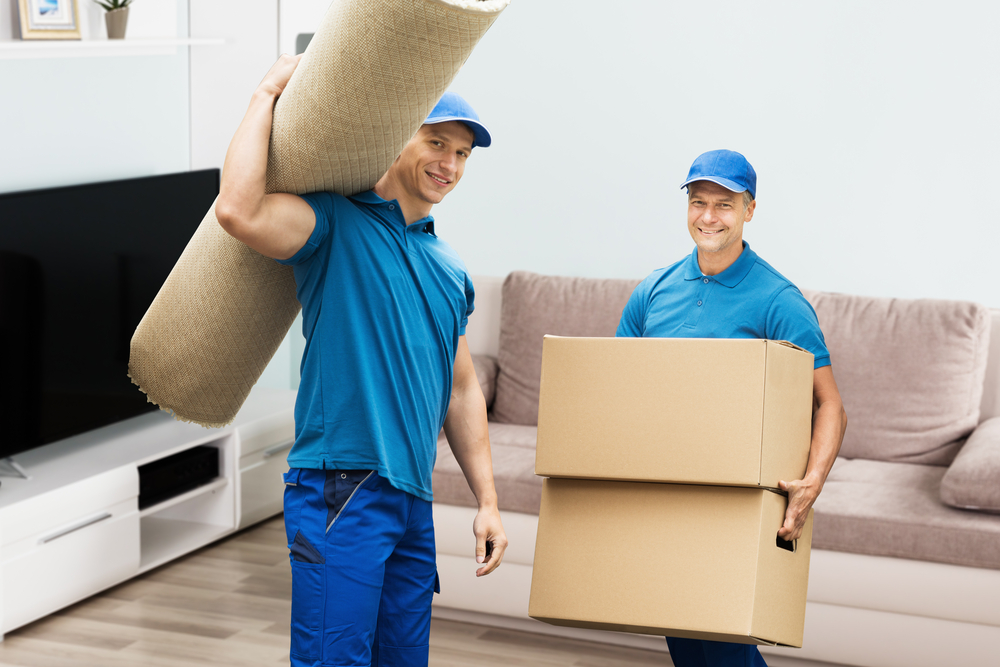 Finding the Right Moving Solution for Your Home or Office