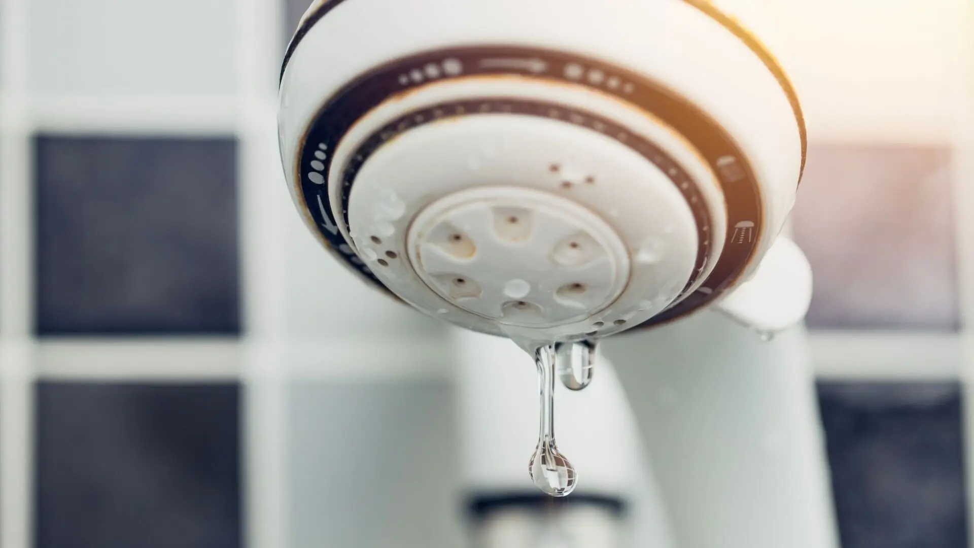 5 Warning Signs of Shower Leaks and How to Address Them Before Major Damage Occurs