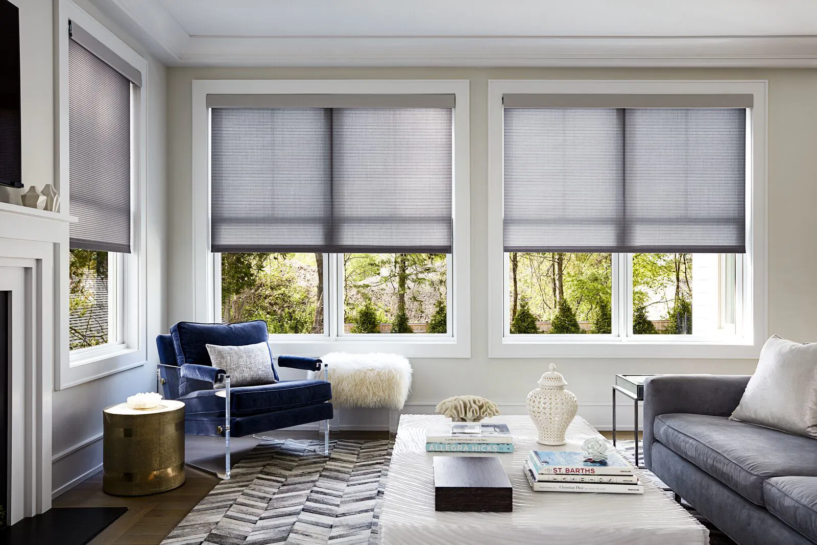 Blinds for Modern Living Rooms