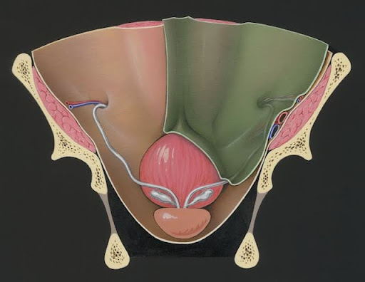 Top Reasons Women Choose Labiaplasty