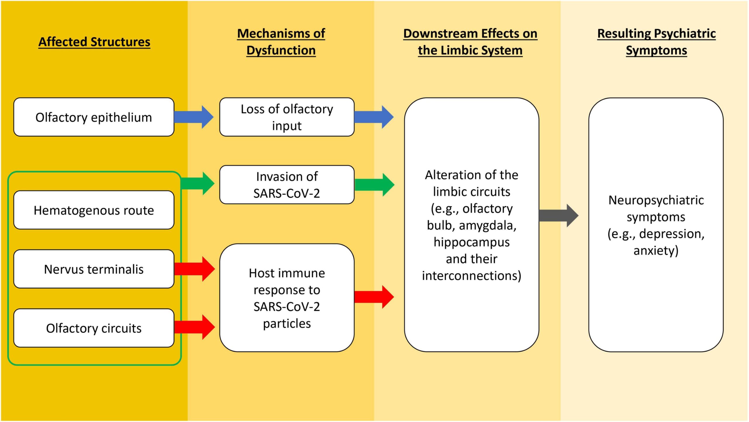 The Link Between Olfactory Stimulation and Creativity Surges