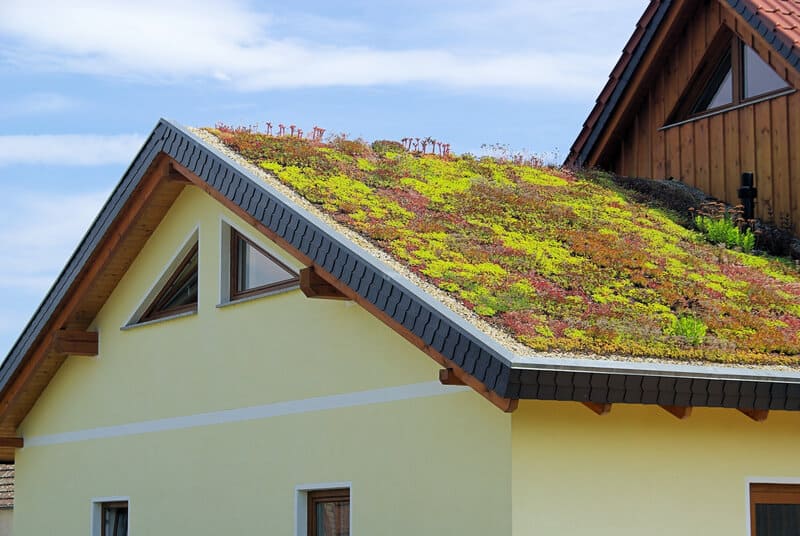 Sustainable Roof Cladding Company for Your Eco-Friendly Building
